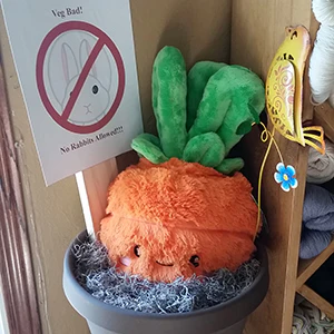 Comfort Food Carrot - Image 6