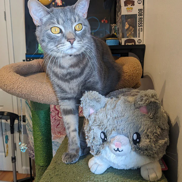 Mini Squishable Grey Kitty - Image 5