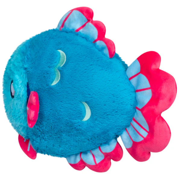 Mini Squishable Betta Fish - Image 2
