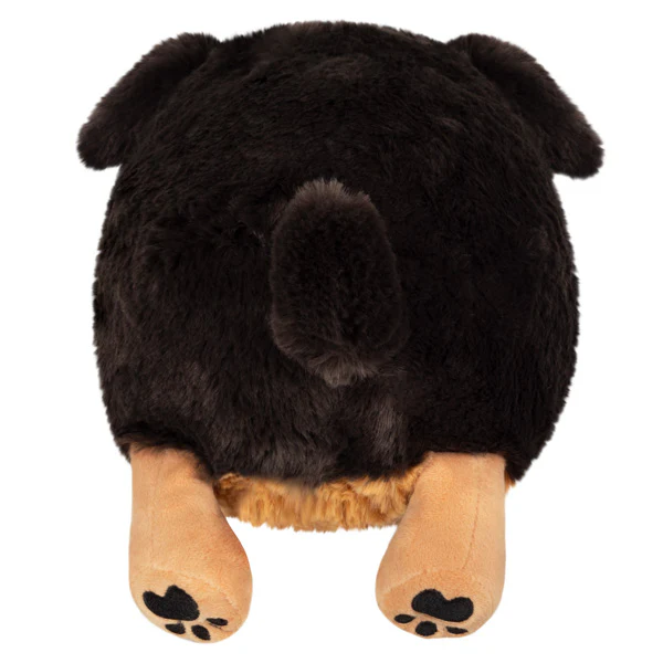 Mini Squishable Fluffy Dachshund - Image 3