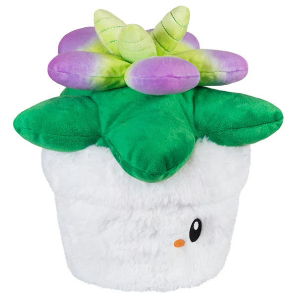 Mini Squishable Succulent - Image 2