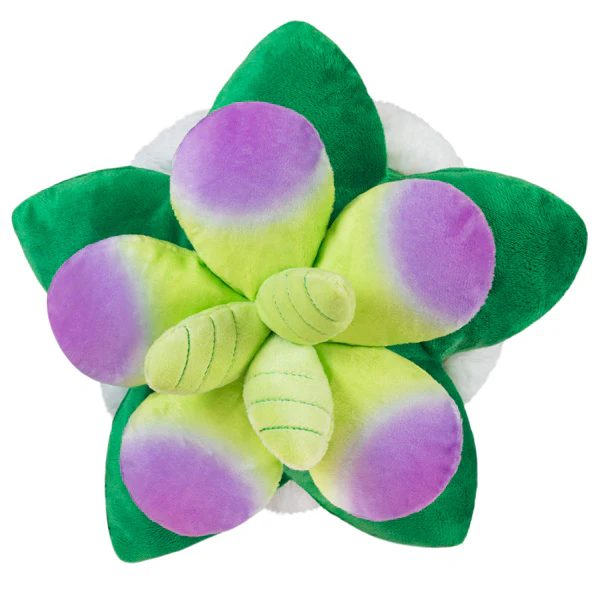 Mini Squishable Succulent - Image 3