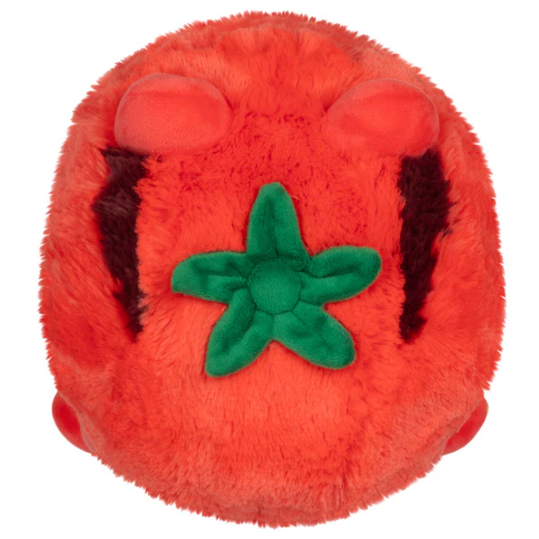 Mini Squishable Tomatoad - Image 4
