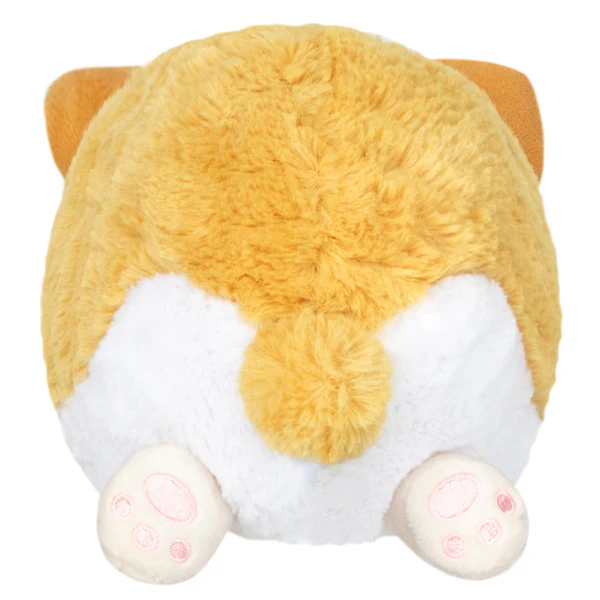 Snacker Baby Corgi - Image 3