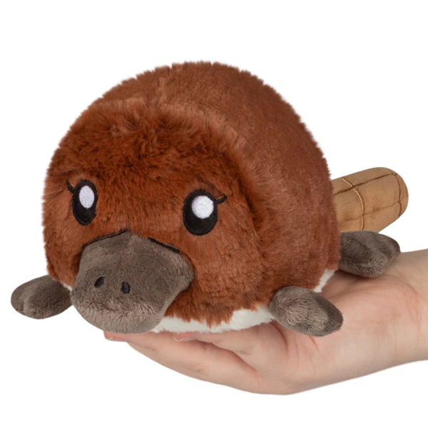 Snacker Baby Platypus
