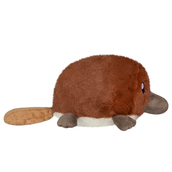Snacker Baby Platypus - Image 2
