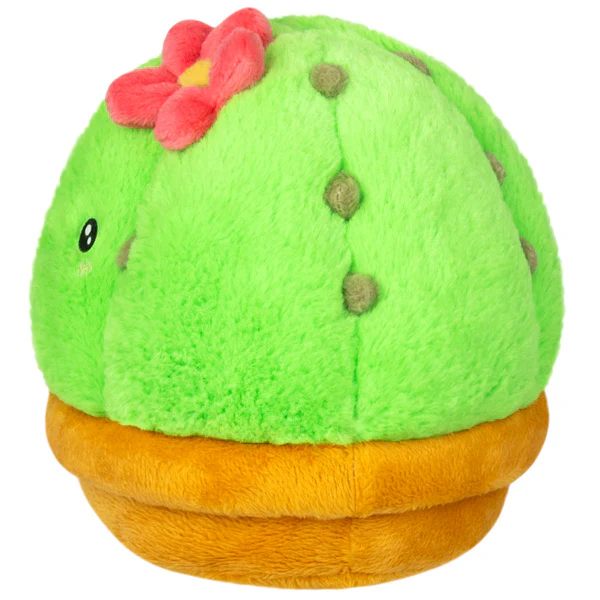 Snacker Cactus - Image 2