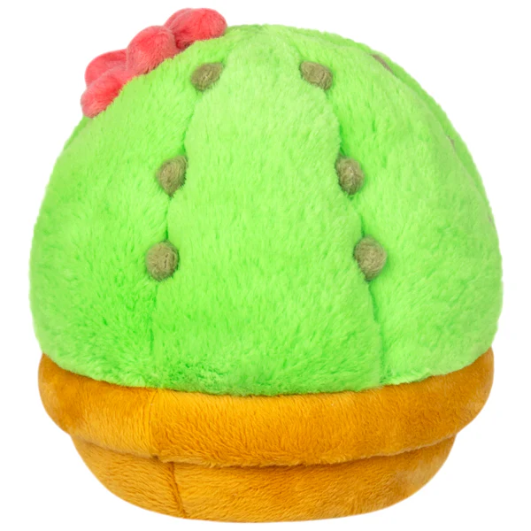 Snacker Cactus - Image 3
