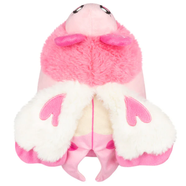 Snacker Lovebug - Image 3