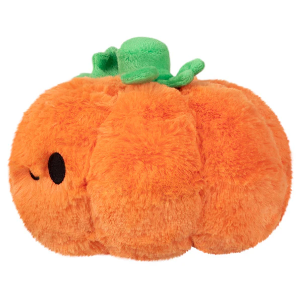 Snacker Pumpkin - Image 2