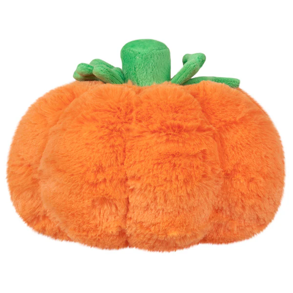 Snacker Pumpkin - Image 3