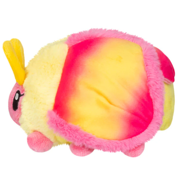 Snacker Rosy Maple Moth - Image 2