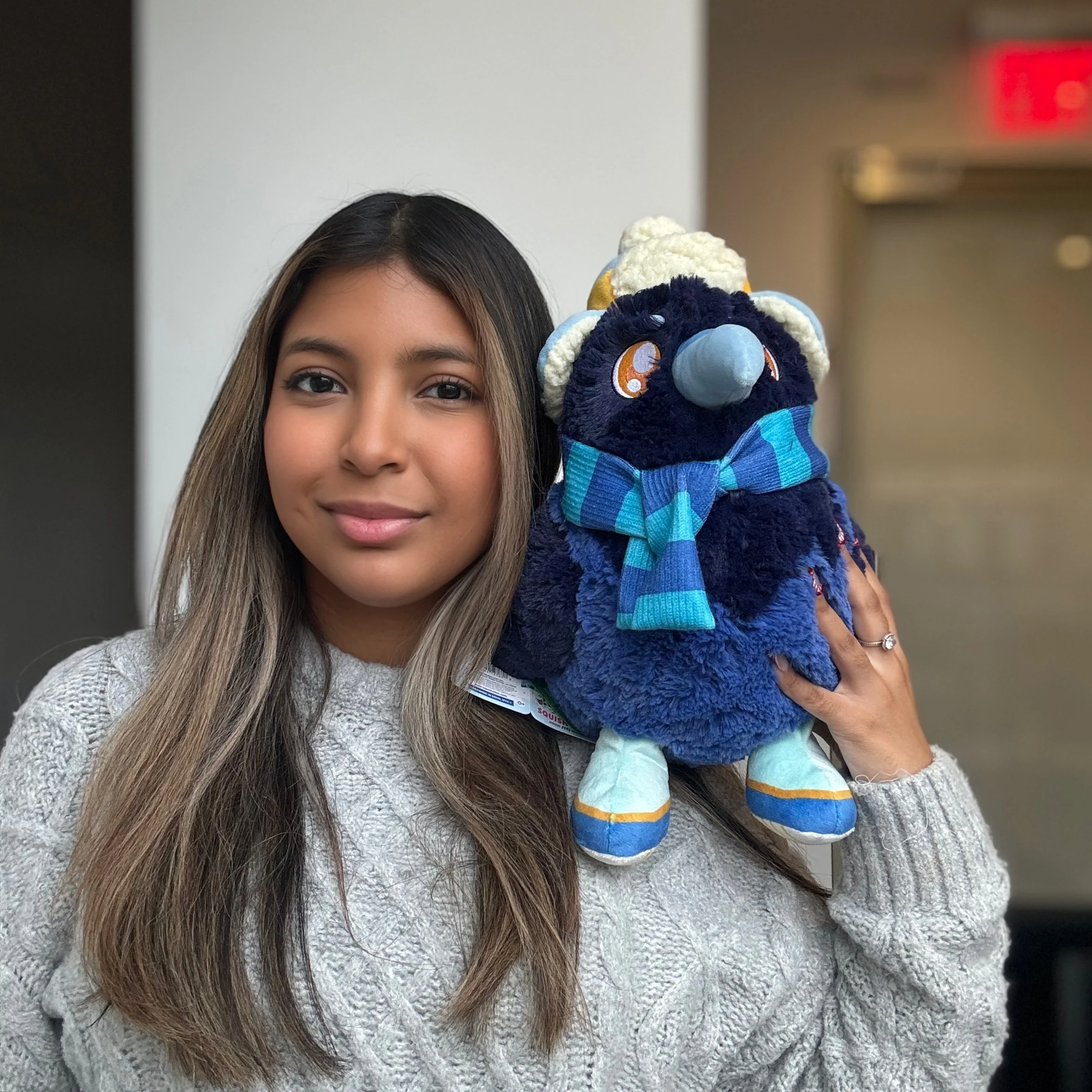 Squish Lodge: Mini Squishable Winter Raven - Image 2