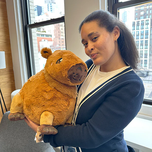 Squishable Capybara - Image 4