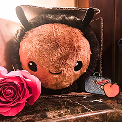 Squishable Fuzzy Bumblebee - Image 8