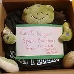 Squishable Sea Turtle - Image 5