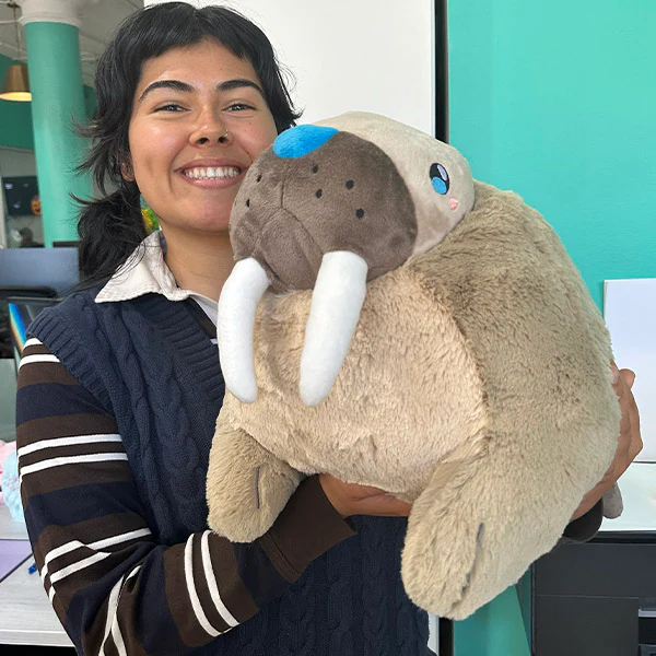 Squishable Walrus - Image 5