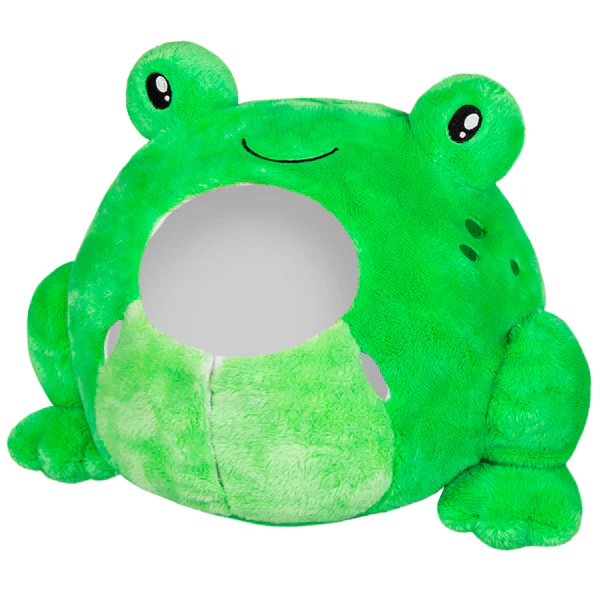 Undercover Corgi in Frog - Image 4