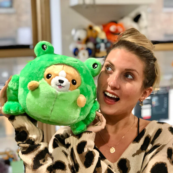 Undercover Corgi in Frog - Image 5