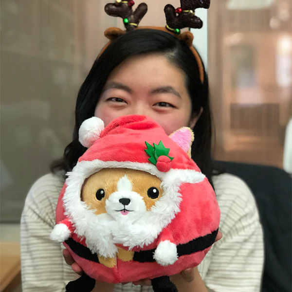 Undercover Corgi in Santa - Image 5