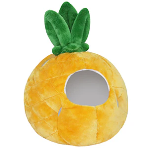 Undercover Kitty in Pineapple - Image 3