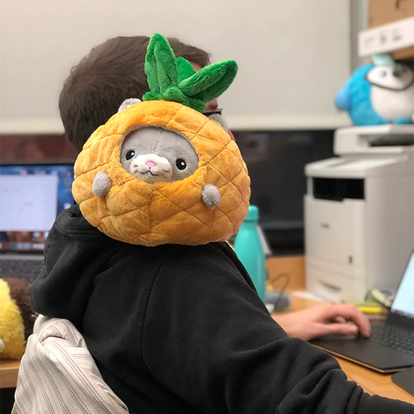 Undercover Kitty in Pineapple - Image 5